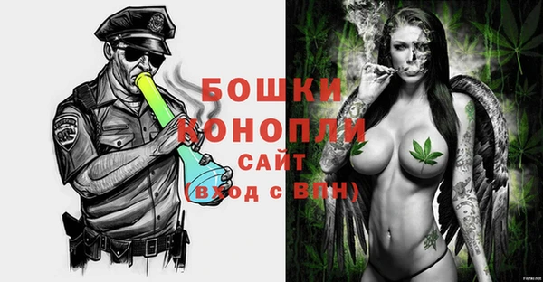 гашик Янаул