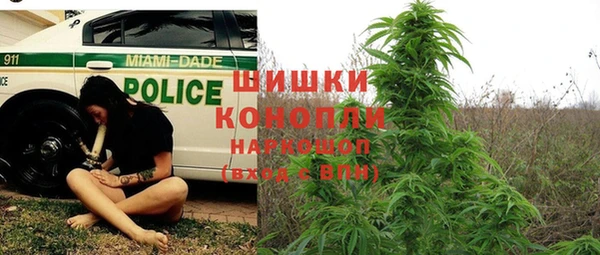прущие грибы Яровое