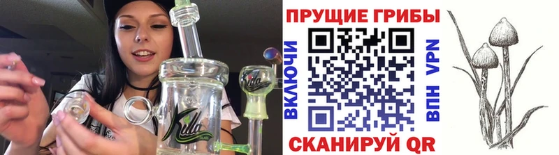 Галлюциногенные грибы Cubensis darknet формула Семёнов